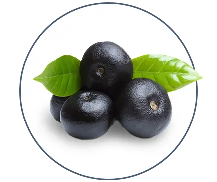Acai Berry